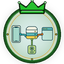 Application Protocols module mastery badge