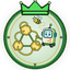 Zigbee, Thread and Matter module mastery badge