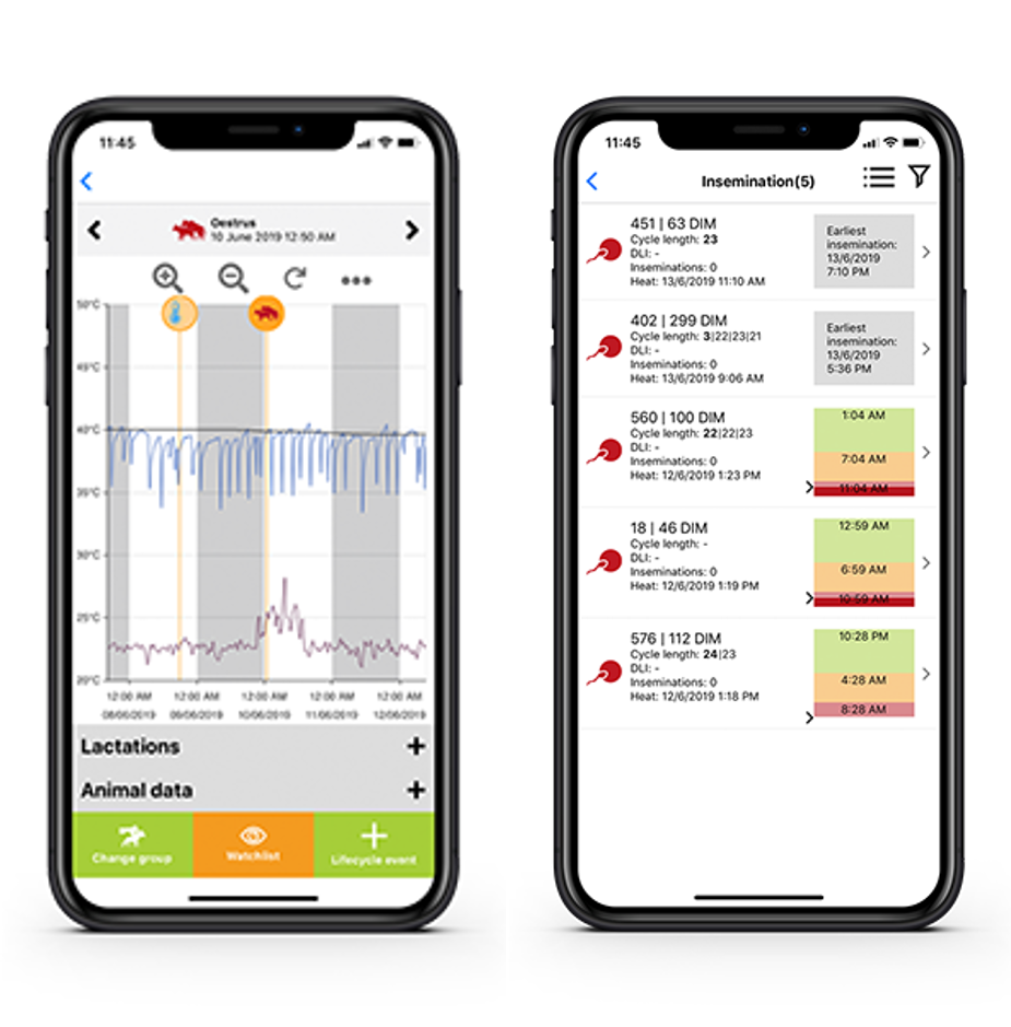 Computer screen displaying livestock management software with aerial satellite view of pasture overlaid with real-time GPS tracking dots showing individual animal locations, health status indicators color-coded by wellness, activity graphs, and grazing pattern heat maps.