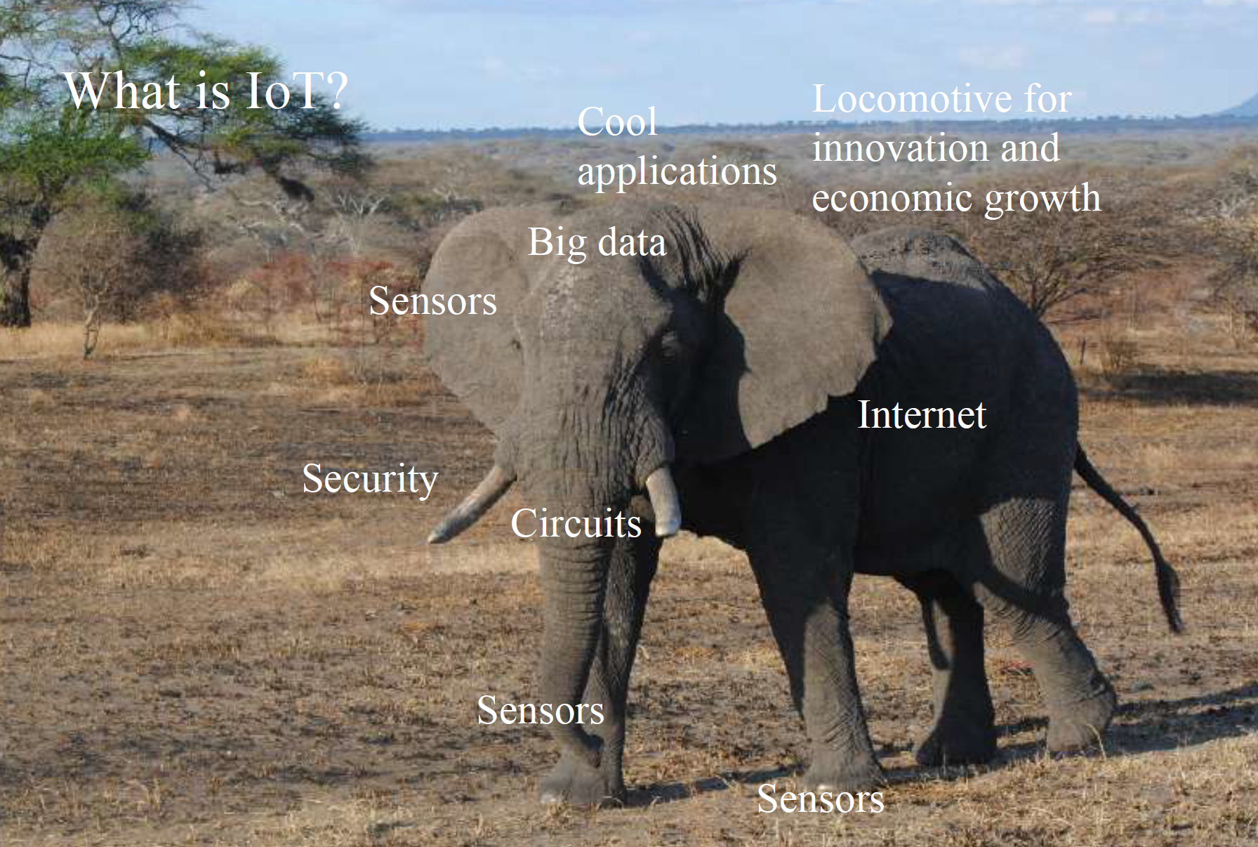 Layered architecture diagram showing IoT system components from bottom to top: Perception Layer with sensors and RFID tags, Network Layer with Wi-Fi and cellular connectivity, Processing Layer with cloud and edge computing, and Application Layer with smart home, healthcare, and city services