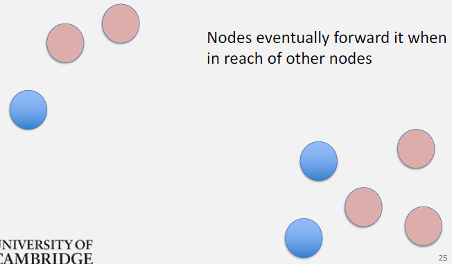 Epidemic routing completion showing destination node successfully received message along with nearly all network nodes carrying replicas, demonstrating high delivery probability at cost of massive message duplication