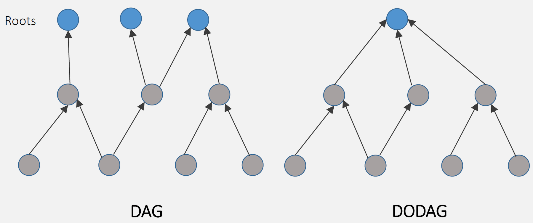 Comparison between DAG (Directed Acyclic Graph) with multiple independent trees and DODAG (Destination Oriented Directed Acyclic Graph) with single root where all nodes form unified tree structure converging to one destination, illustrating RPL's single-root constraint for IoT routing efficiency.