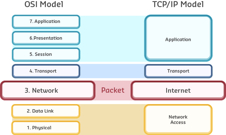 Networking model overview showing the relationship between different network layers and how protocols interact across the stack