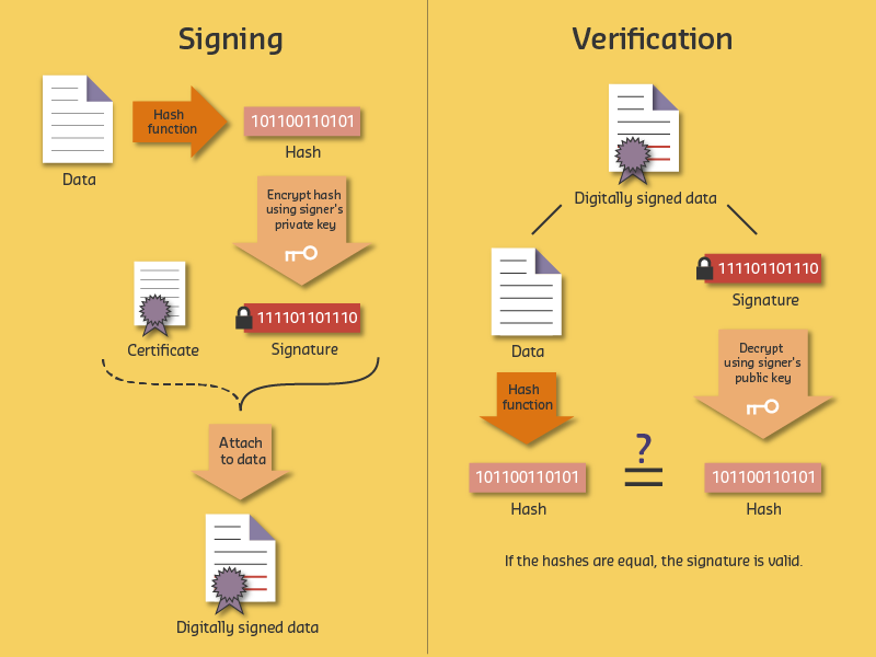 Digital signature verification process showing sender hashing document and signing with private key, then recipient verifying signature using sender's public key and comparing document hashes to ensure authenticity and integrity