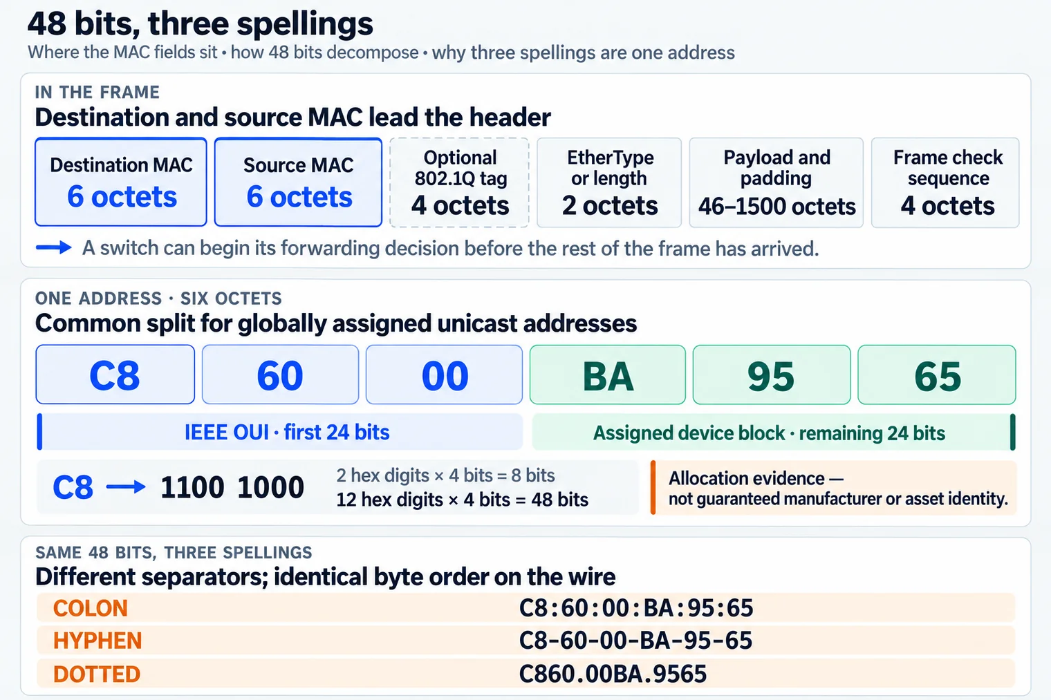 Ethernet MAC diagram marks destination and source six-octet addresses in the frame, then expands C8:60:00:BA:95:65 into six bytes. It distinguishes the IEEE OUI from the assigned device block, shows C8 as bits, and compares colon, hyphen and dotted spellings.