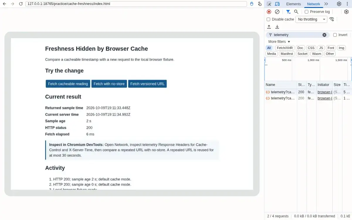 Real Chromium and DevTools: The worker still returns the original sample.