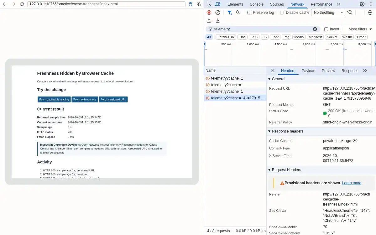 Real Chromium and DevTools: Cache-Control is private, max-age=30; X-Server-Time matches the returned sample time.
