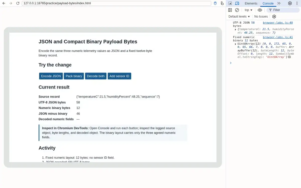 Real Chromium browser and DevTools: Console and page show 12 binary bytes; JSON minus binary is 46.