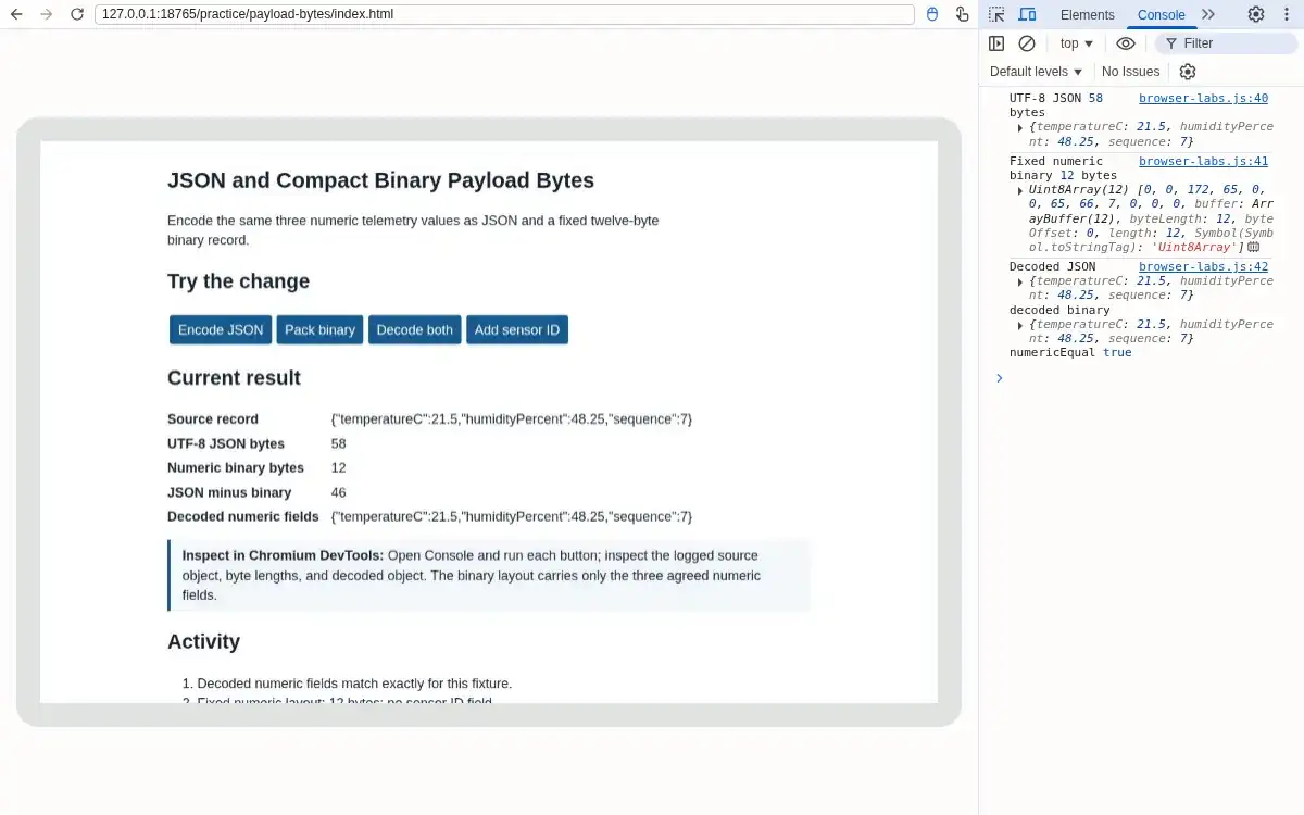 Real Chromium browser and DevTools: Console reports numericEqual true; decoded values are 21.5, 48.25, and 7.
